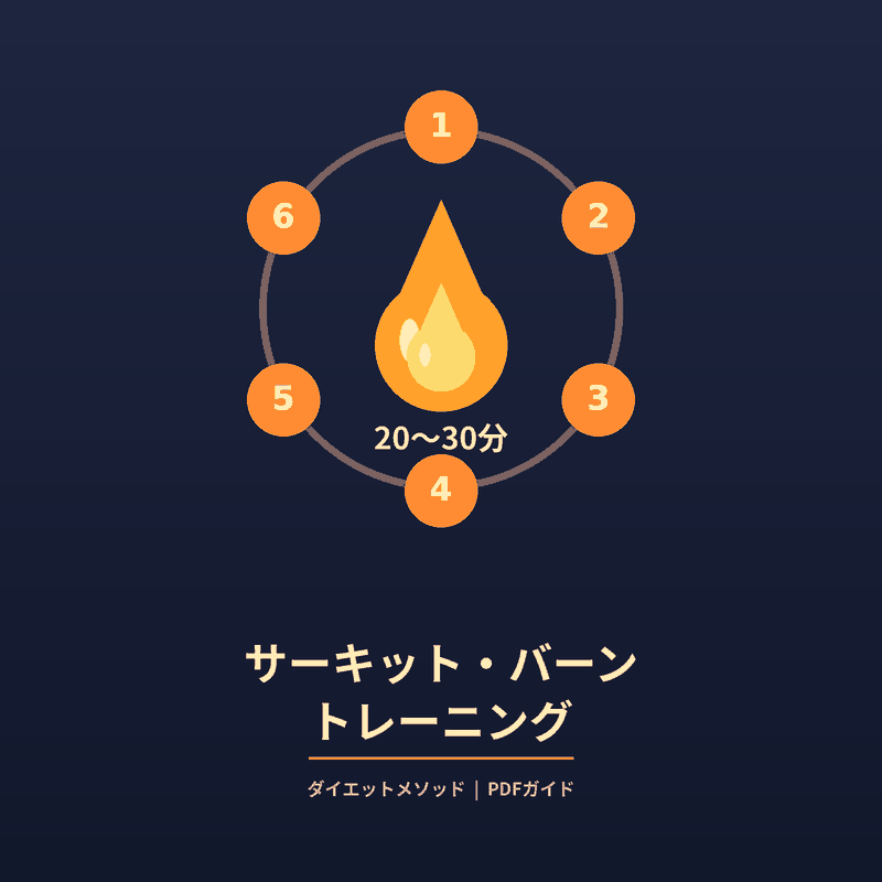 20_サーキット・バーン・トレーニング_日本語.pdf