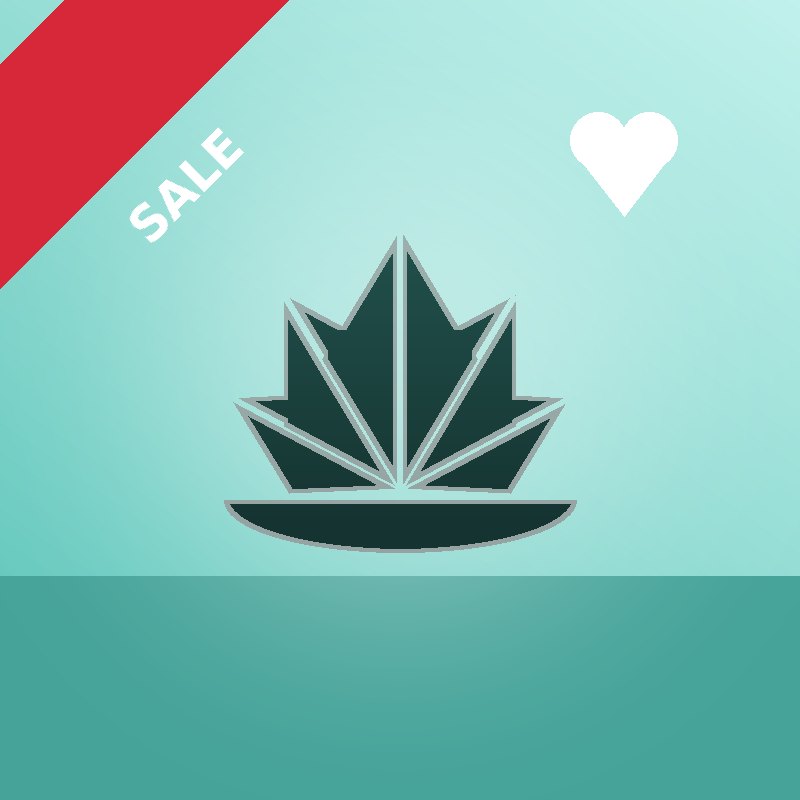 [SALE] Focus Reset: How to Get Back on Track After Distraction