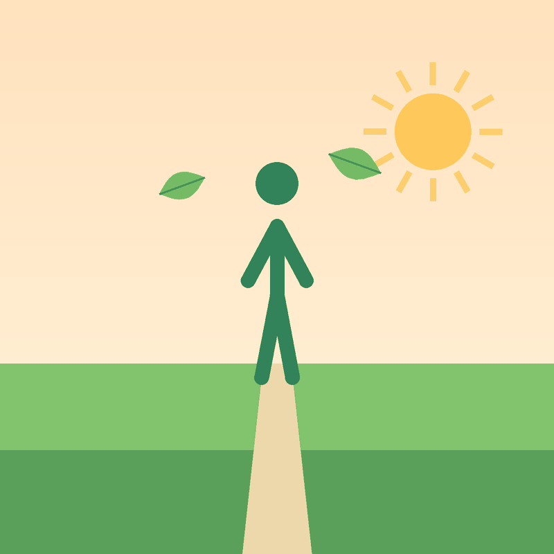 Walking with Back Awareness: Core-Supported Walking